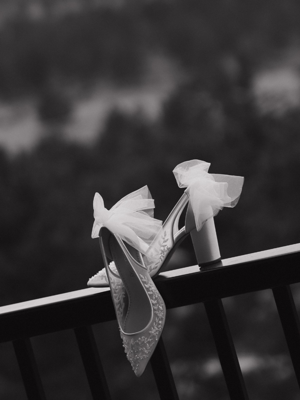 Bella Belle Wedding Shoes